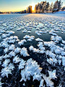 frost, frostblommor, is, isblommor, landskap, motljus, vinter, rstid, rstider