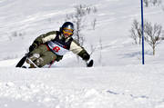 enbent, funktionshindrad, handikappad, koncentration, kryckstavar, sit ski, ski cart, skidor, skidkare, skidkning, slalom, sport, stende, svng, totalskidskolan, tvling, utfrskning, vinter