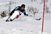 funktionshindrad, handikappad, koncentration, kryckstavar, sit ski, ski cart, skidor, skidkare, skidkning, slalom, sport, stende, svng, totalskidskolan, tvling, utfrskning, vinter