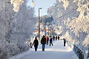 Badhusparken, frost, Frsn, gngbro, gngbron, Jmtland, kallt, kyla, midvinter, park, rimfrost, stmning, stmningsbild, stmningsbilder, vinter, vinterstaden, vinterstmning, stersund