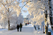 Badhusparken, frost, Frsn, gngbro, gngbron, Jmtland, kallt, kyla, midvinter, rimfrost, stmning, stmningsbild, stmningsbilder, vinter, vinterstaden, vinterstmning, stersund