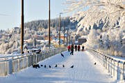 Badhusparken, frost, Frsn, gngbro, gngbron, Jmtland, kallt, kyla, midvinter, rimfrost, stmning, stmningsbild, stmningsbilder, vinter, vinterstaden, vinterstmning, stersund