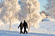 Badhusparken, bjrk, bjrkar, frost, frostiga, Jmtland, kallt, kyla, midvinter, park, rimfrost, Rdhuset, stmning, stmningsbild, stmningsbilder, trd, vinter, vinterstaden, vinterstmning, stersund
