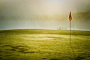 dimma, diverse, golf, golfbana, grs, grsmatta, landskap, morgondimma, natur, sommar, sport