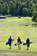barn, diverse, fairway, golf, golfbana, golfspelare, green, grs, grsmatta, grnt, mjlkerd, sommar, sport, ungdomar