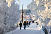 Badhusparken, frost, Frösön, gångbro, gångbron, Jämtland, kallt, kyla, midvinter, park, rimfrost, stämning, stämningsbild, stämningsbilder, vinter, vinterstaden, vinterstämning, Östersund