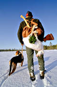 hamiltonstövare, hare, harjakt, hund, jakt, jägare, snö, stövare, vinter, vinterjakt