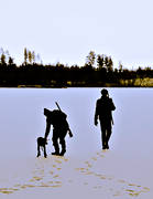 harjakt, harjägare, hund, hundar, jakt, jägare, schiller, schillerstövare, släppet, stövare, vinterjakt