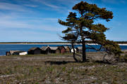bodar, byggnader, fiskebod, fiskebodar, Gotland, hav, havet, havsband, Helgumannens fiskelge, landskap, natur, sommar