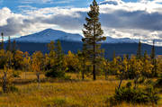 fjll, fjllandskap, fjllen, fjlltopp, hgfjll, hst, hstfrger, hstmorgon, Jmtland, landskap, natur, Snasahgarna, Snasen, Storsnasen, Tvrn, rstid, rstider