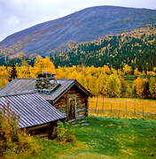 buvall, Drommen, fjll, fjllskog, fjllstugor, fbodvall, hrbre, hst, hstfjll, hstfger, stmning, stmningsbild, stmningsbilder, rstid, rstider
