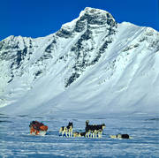 djur, dggdjur, fjll, fjllandskap, fjlltopp, fjlltoppar, friluftsliv, grnlandshund, grnlandshundar, hgfjll, hgfjllen, sarek, Sarek nationalpark, Sarekfjll, sldfrd, sldhund, sn, sport, uteliv, vinterbild, vinterfjll, vinterlandskap, vinterskrud, vinterstmning, hpar