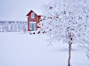 hembygdsgrd, hus, Laponia, lappland, stuga, stmning, stmningsbild, stmningsbilder, vinter, vinterbild
