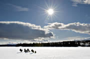 fisk, fiske, fisketvling, Gevsjn, natur, pimpelfiske, pimpla, rding, sjar, sportfiske, ring