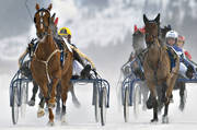 diverse, hstar, istrav, kuskar, sport, trav, vinter, re, resjn