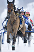 diverse, hstar, istrav, kuskar, sport, trav, vinter, re, resjn