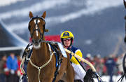 diverse, hstar, istrav, kuskar, sport, trav, vinter, re, resjn
