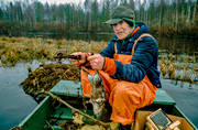 bergstrand, bisam, bisamjakt, bisamjgare, bisamrtta, bt, fngst, fngstman, flla, jakt, sax, trappern, trappern bergstrand
