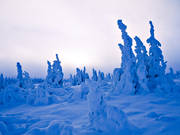 J�mtland, kallt, landskap, nysn�, sn�, vinter, �rstider