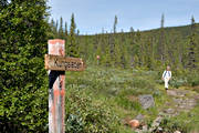 fjllen, fjllvandrare, fjllvandring, Kungsleden, led, ledskylt, naturreservat, sarek, skylt, vandring, vandringsled