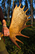 guldhorn, hand, horn, jakt, jakt lgjakt, jgare, kvinna, kvinnlig, kvinnliga, kvinnor, smycken, trofe, lghorn, lgjakt
