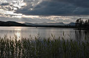 dramatik, himmel, Jmtland, kvll, landskap, ljus, sj, sjfart, sommar, vass, vatten, vikberget
