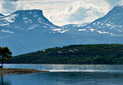 Abisko, abiskofjllen, fjll, fjllen, fglar, landskap, lappland, Lapporten, natur, sommar, svanar, sngsvan, sngsvanar, tornetrsk