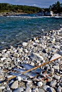 Finnmark, fisk, fiske, lax, laxar, laxfiske, Nordnorge, Norge, sportfiske, Storlva, strand