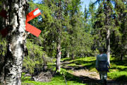 fjllen, fjllvandrare, fjllvandring, kryss, Kungsleden, led, ledkryss, naturreservat, sarek, vandring, vandringsled