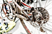 cykel, cykeltvling, cykling, dck, kedja, lera, mountainbike, skitig, smutsig, sommar, sport