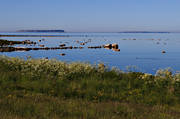 Gotland, hav, havet, havsstrand, landskap, Lilla Karls, natur, sommar, Stora Karls, strand, ar