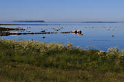 Gotland, hav, havet, havsstrand, landskap, Lilla Karlsö, natur, sommar, Stora Karlsö, strand, öar