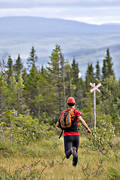 diverse, fjll, jogg, ledkors, lpare, lpning, myr, sommar, sport, springa