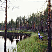 fiske, metar, mete, skogstjrn, sportfiske