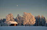 bjrkar, frostig, frostiga, fbod, fbodstuga, julstmning, kallt, kyla, mne, stuga, stmning, stmningsbild, stmningsbilder, trd, vinter, rstid, rstider