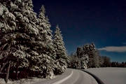 landskap, mnljust, mnsken, natt, nattbild, skog, stmning, stmningsbild, stmningsbilder, supermne, vinter, vintervg, rstid, rstider