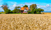 arbete, byggnader, hus, idyll, jordbruk, jordbruksmark, landskap, moget, rdmlad, skrd, skrda, skrdetid, Smland, sommar, stuga, svensk, Sverige, sd, sdesflt, vete, veteflt, Visings, rstid, rstider