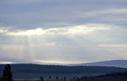 himmel, Jmtland, landskap, ljus, moln, molntcke, skog, sol, sommar