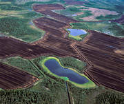 drnarbilder, drnarfoto, energi, flygbild, flygbilder, flygfoto, flygfoton, landskap, milj, miljfrstring, miljpverkan, miljskada, miljvrd, myr, myrtkt, natur, torv, torvbrytning, torvtkt, utvinna, utvinning