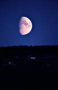 fullmåne, Jämtland, kväll, månen, månsken, natt, stämning, stämningsbild, stämningsbilder, Vålbacken, vår, årstid, årstider