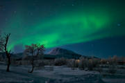 himmel, natur, Nikkaluokta, norrsken, polarnatt, polarsken, vinter, rstid, rstider