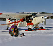 Cub, flyg, kafferast, kommunikationer, landat, luftfart, Piper, skidflyg, skidflygning, super, vinter