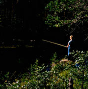 fiske, mete, skogs, sommar, sportfiske