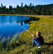 fiske, mete, pojke, skogstjrn, sommar, sportfiske
