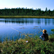 fiska, fiske, meta, mete, metsp, pojke, sportfiske, Vallsjn