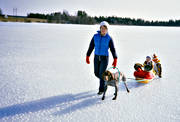 barn, brder, draghund, draghundar, draghundtur, fiske, is, isfiske, mor, pojkar, pulka, sldfrd, sldhund, sldhundar, ute, uteliv, vinter, vintersport, vorsteh, vrvinter, vrvinteris, ventyr