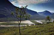 Bielloriehppe, fjll, fjlltopp, fjlltoppar, hgfjll, landskap, Laponia, lappland, natur, Pielloreppe, Rapadalen, Rapaselet, sarek, Sarek nationalpark, Sarekfjll, sommar