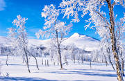 fjll, Gaajsartjahke, landskap, lappland, rimfrost, sn, stmningsbild, vinter, vinterfjll, vita vidder, vrvinter, rstid, rstider
