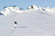 fjllen, fjlljakt, fjlljgare, jakt, ripa, ripjakt, vinter, vinterjakt ripa, vinterripa