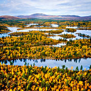 drnarbilder, drnarfoto, fjllbilder, flygbild, flygbilder, flygfoto, flygfoton, Hrjedalen, hst, hstfrger, naturreservat, Rogen, Rogenmorn, Rogens, vildmark, demark